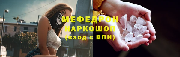 дурь Няндома