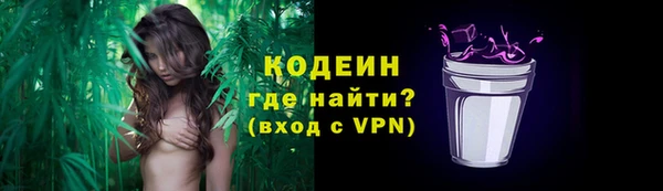 прущие грибы Нягань