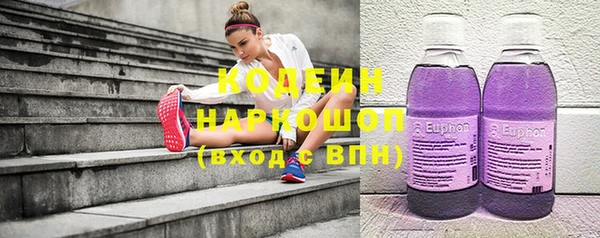 дурь Няндома