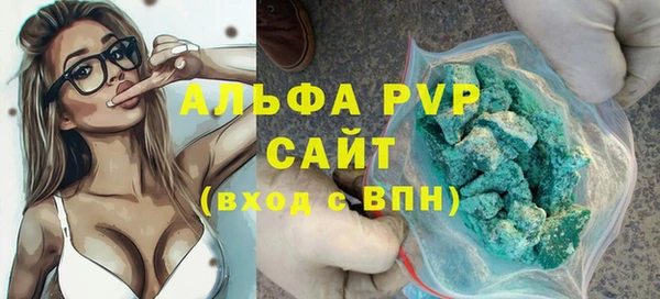 дурь Няндома