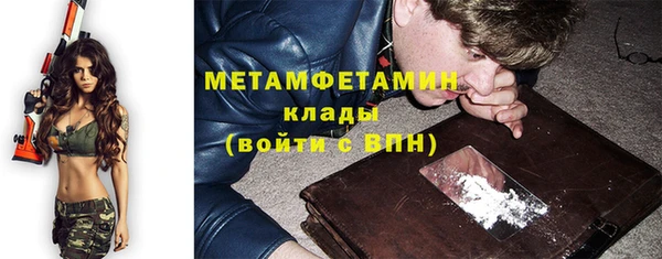 прущие грибы Нягань