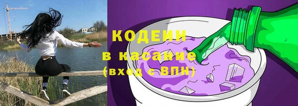 прущие грибы Нягань
